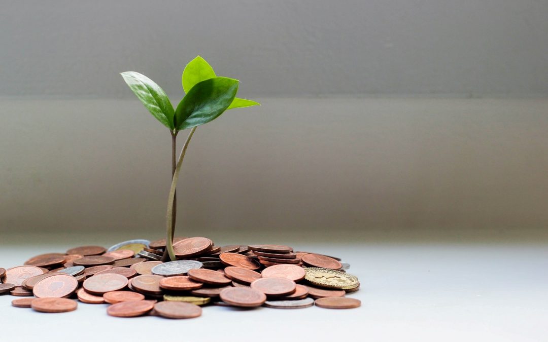 Battery Passport Service Receives Grant Funding